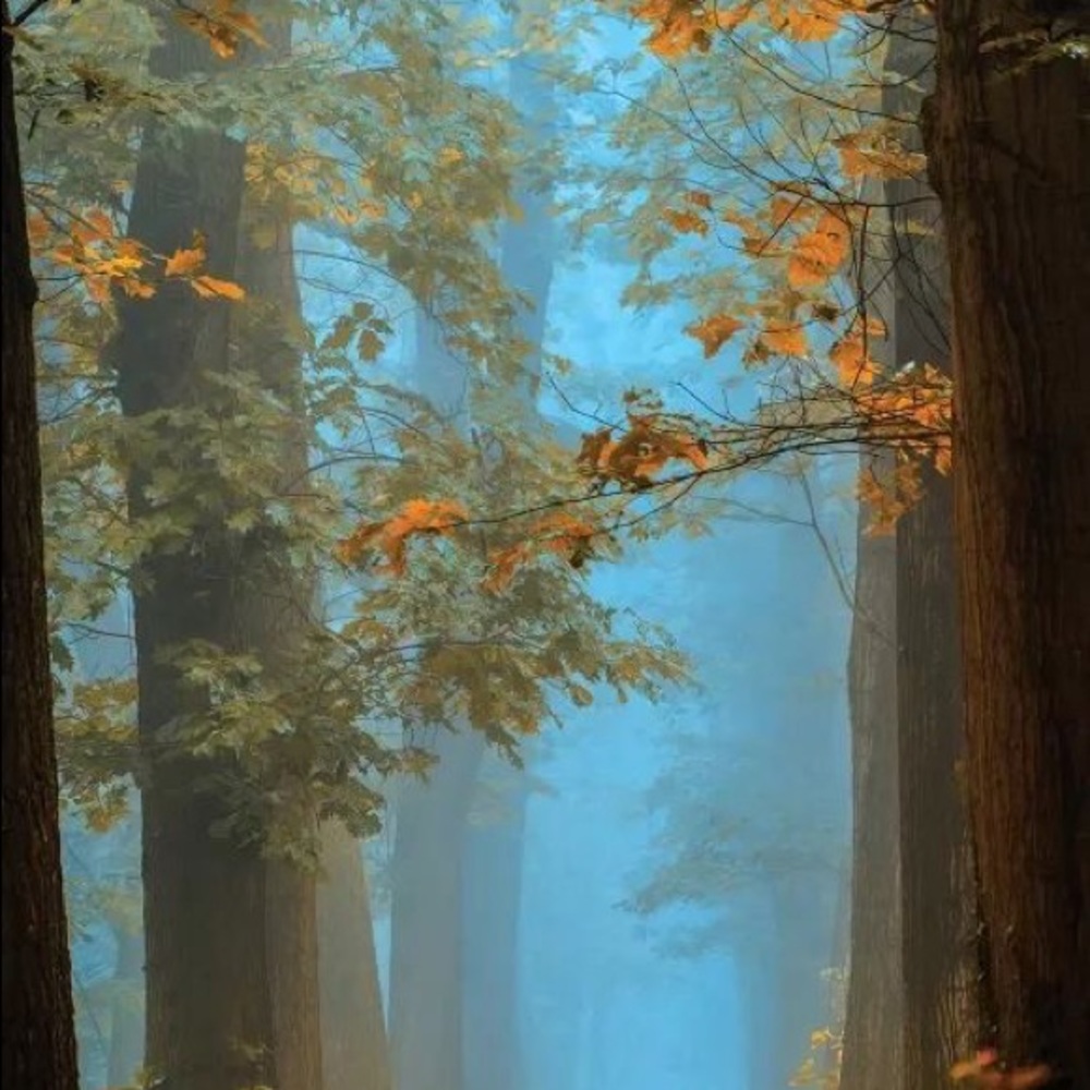 Meet your Posher, Thuan